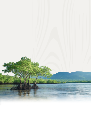 Hero banner mobile Hero banner mobile