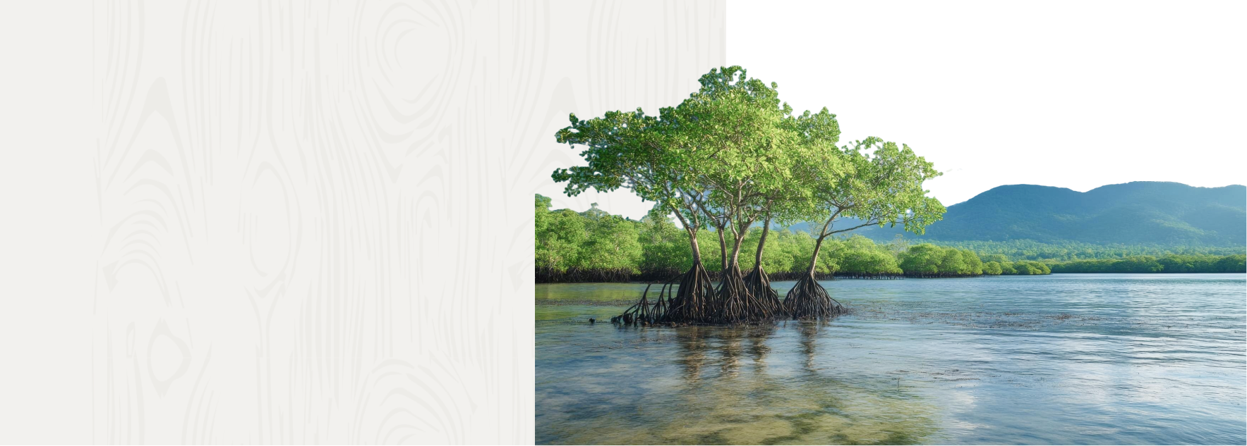 Hero Banner Hero Banner